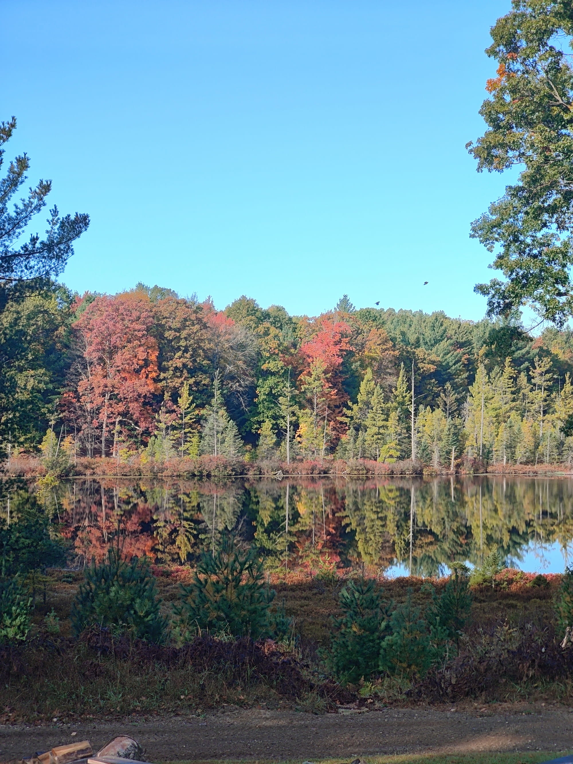 Private stocked lake at Rolling Ridge Ranch